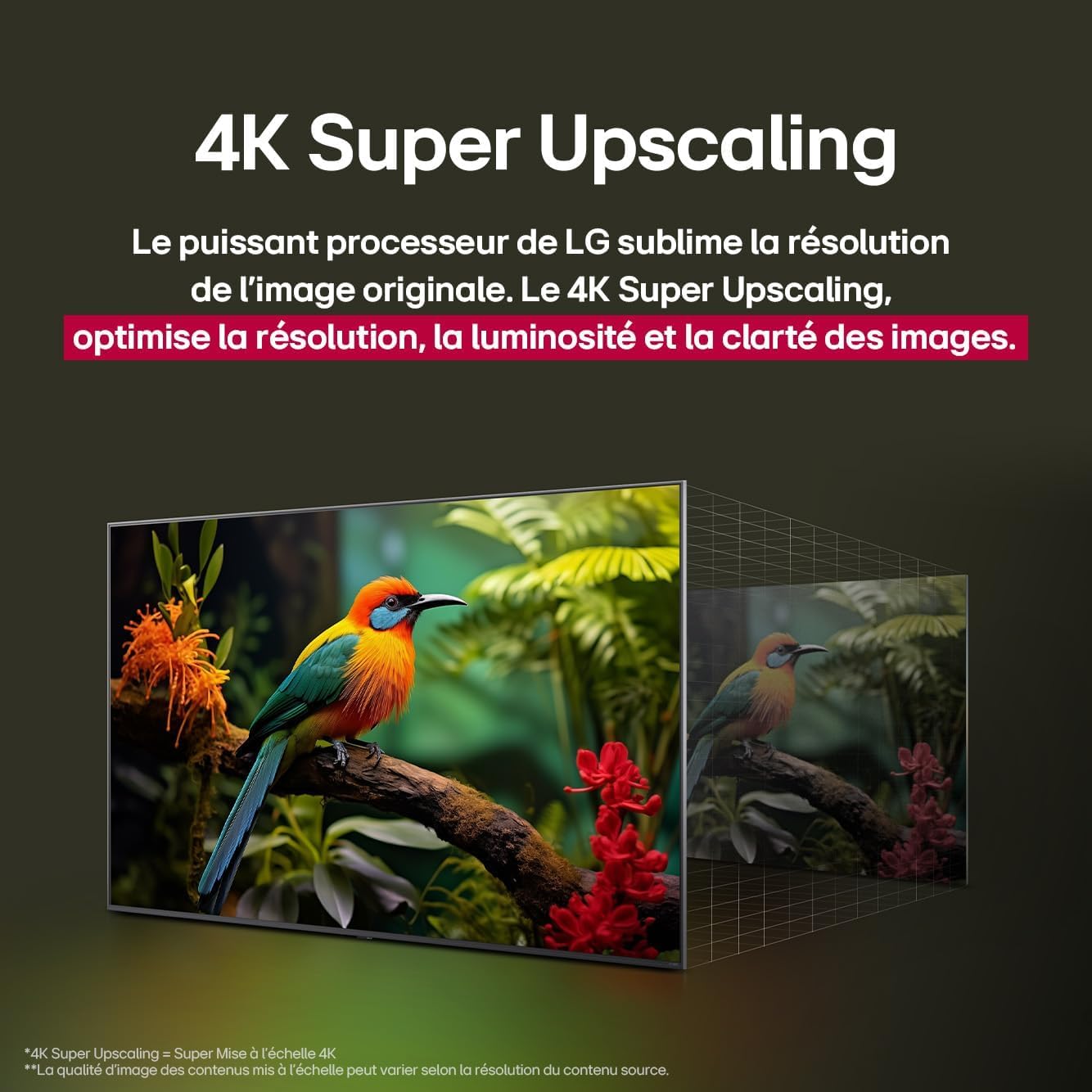 LG TV NANOCELL AI 2025 | 65NANO90| 65'' (164cm) | 4K UHD | HDR10 |webOS 25 | Télécommade AI Magic Remote | Alexa, Google Assistant | Netflix Disney+ Canal+ Prime Video | AirPlay 2 | Couleurs Pures