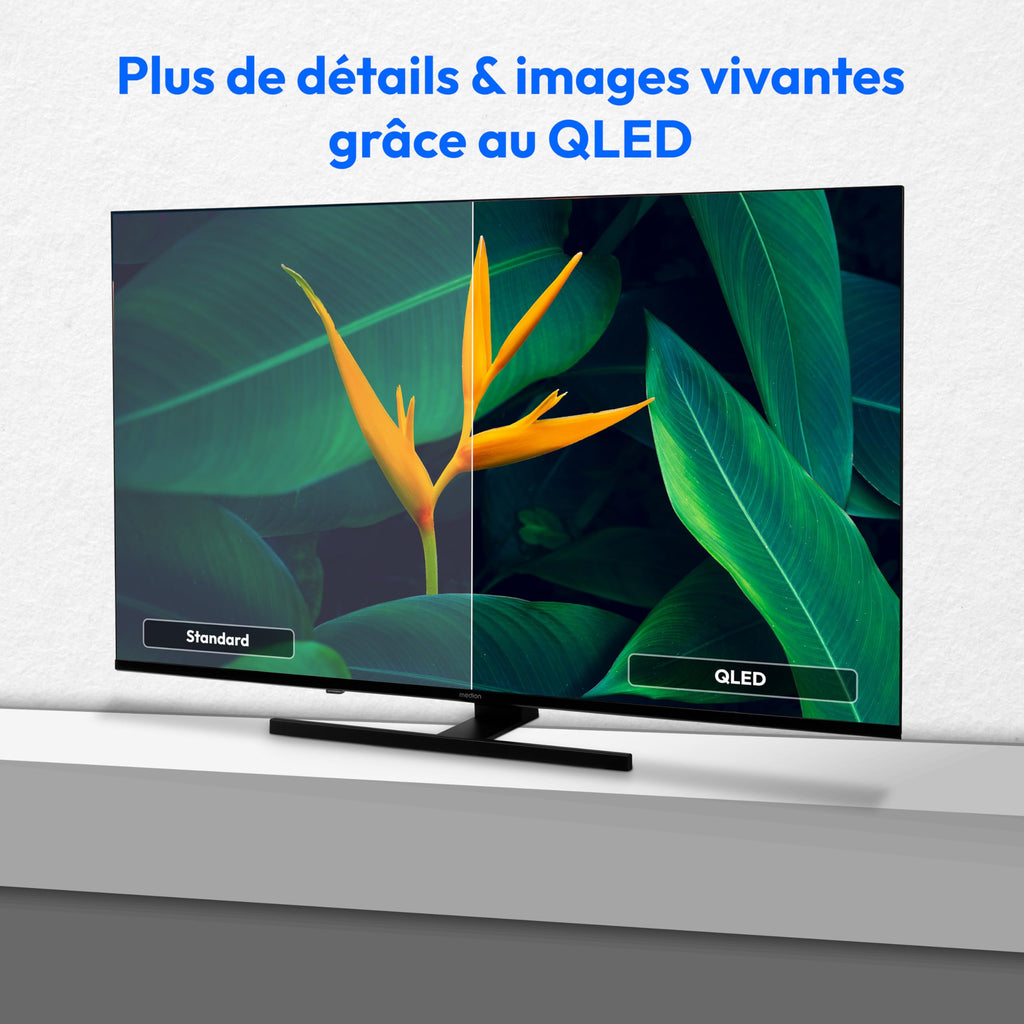 MEDION Téléviseur 65 Pouces (163,9 cm) 4K QLED Television (Fire TV, Smart, Dolby Vision HDR, Dolby Atmos, Prime Video, Bluetooth, DVB-T2, MD 865800)