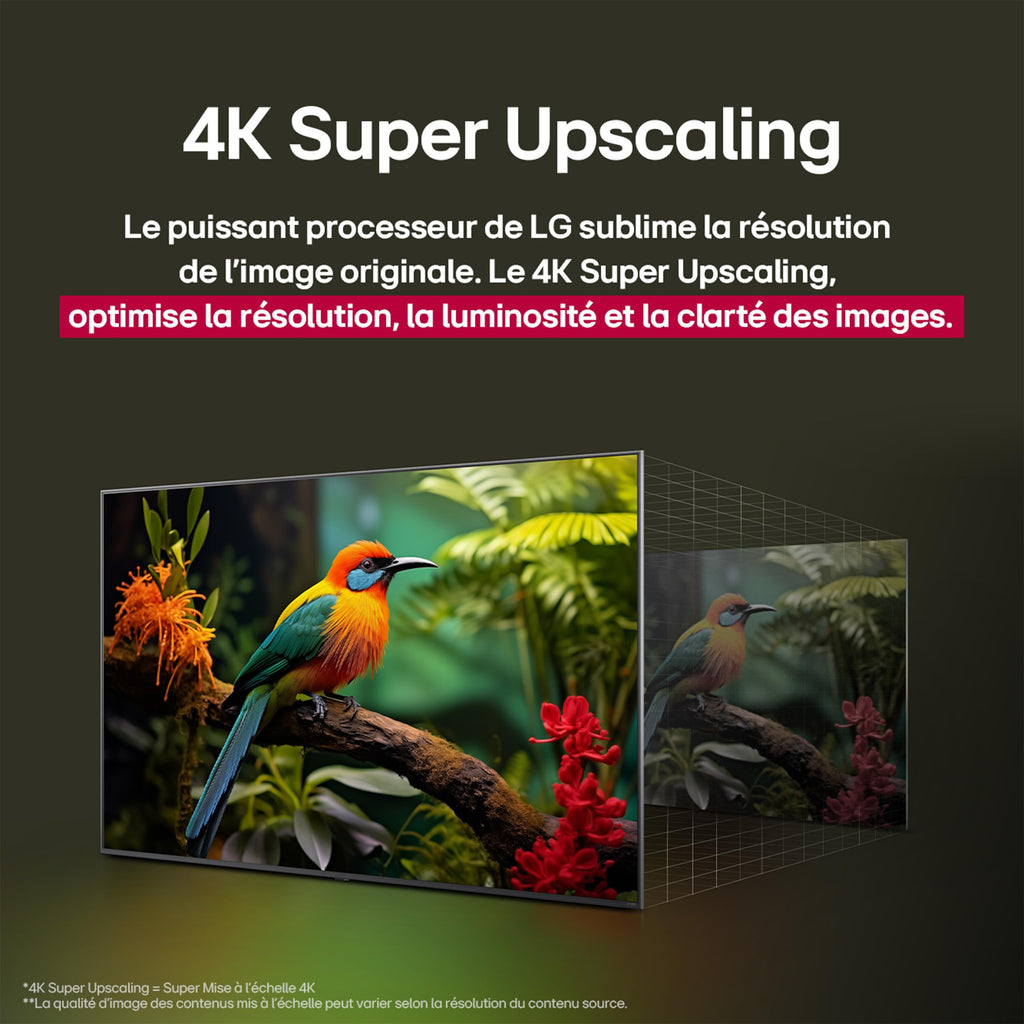 LG TV QNED AI 2025 | 65QNED8E | 65'' (165cm) | 4K UHD | HDR10 | webOS 25 | Télécommade AI Magic Remote | Alexa, Google Assistant | Netflix Disney+ CANAL+ Prime Video | AirPlay 2 | Luminosité éclatante